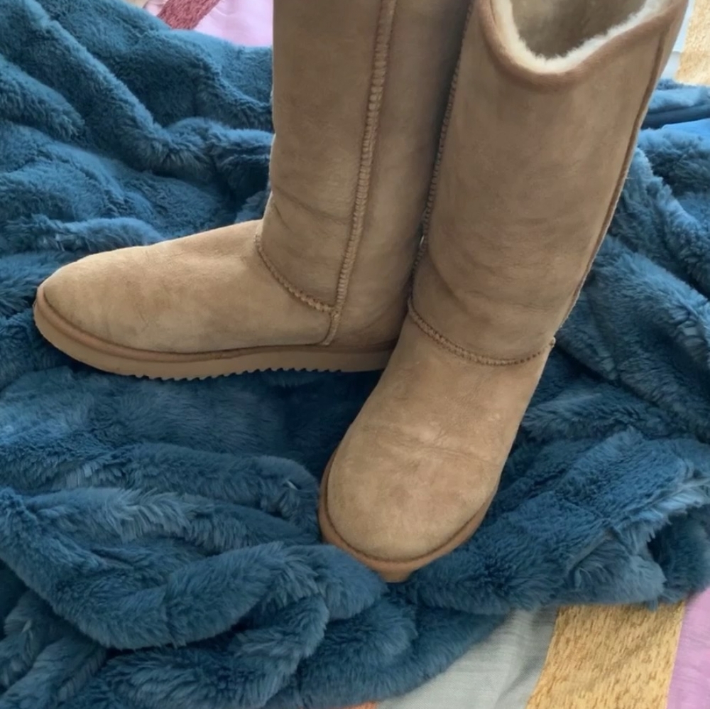 Sheepskin Suede Boots